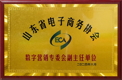 山東省電子商務協(xié)心數字營銷專委會副主任單位